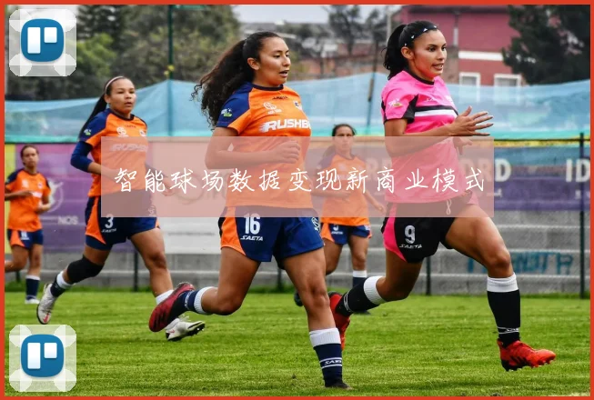 智能球场数据变现新商业模式
