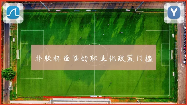非联杯面临的职业化政策门槛